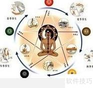 揭秘生物钟的奇妙奥秘