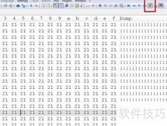 Hex编辑器进制转换指南