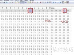 Hex编辑器进制转换指南