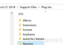 Newton 3安装教程
