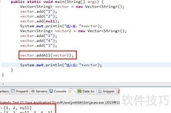 Vector使用方法精讲