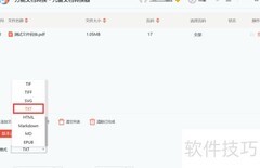 九雷PDF转TXT教程