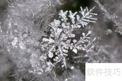 Frostpunk内容解析