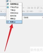 WinSCP设置为双面板模式