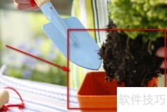 植物移植全攻略