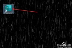 Publisher忽略数字单词校对