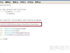 常用命令无法执行问题解析
