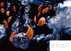 电子表选购指南：品牌推荐