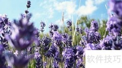 有限责任公司特点解析