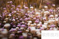 有限责任公司特点解析