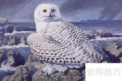 Charles 9.2安装指南