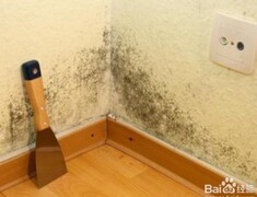 租房遇房屋发霉如何维权
