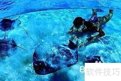 马尔代夫潜水全攻略