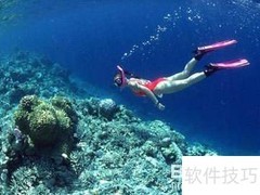 马尔代夫潜水全攻略