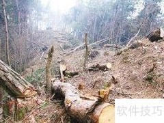 林业采伐证办理指南