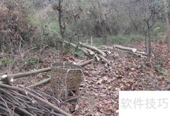 林业采伐证办理指南