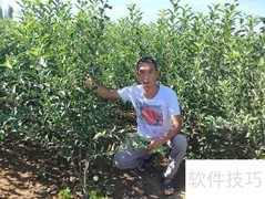 矮化苹果树苗选购指南