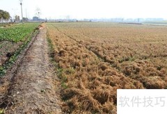 土地被强占修路？合法维权指南