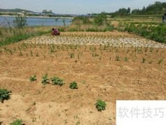 土地流转实践案例精选