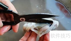 八爪鱼清洗方法详解