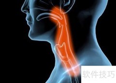 普通与无痛胃镜有何不同