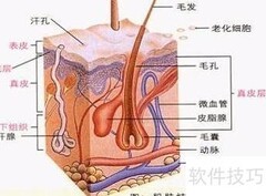 超声刀副作用三步解析
