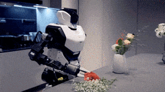 山东尖子生，霸榜机器人赛道