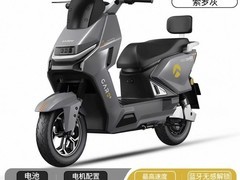 金箭风暴PLUS至尊版电摩，到手3149元