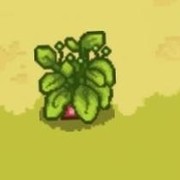 像素时代植物全图鉴