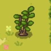 像素时代植物全图鉴