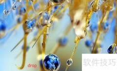 drop与drip有何不同