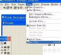 VFP报表打印设置预览