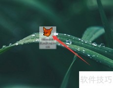 frx文件打开方法