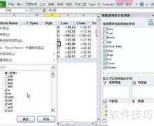 Excel 2010切片器使用技巧