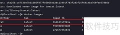 Docker部署Nginx指南