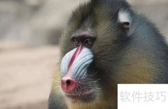 临泉魔幻动物园游玩指南