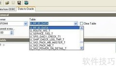 Excel数据导入Oracle技巧
