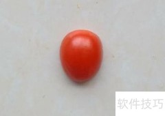 番茄小昆虫拼贴制作