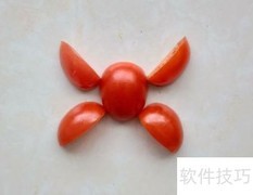 番茄小昆虫拼贴制作
