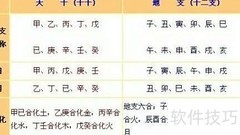 今年是哪一年？天干地支揭秘