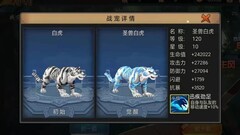 三国战纪：白虎助战攻略