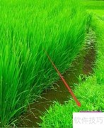 电脑时间不准？自动校准方法