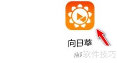向日葵客户端开启双重验证