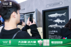 AWE探展｜别卷参数了！容声大冰象这台“大长腿”冰箱太圈粉
