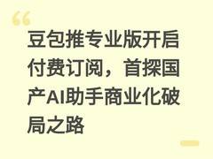 豆包推专业版开启付费订阅，首探国产AI助手商业化破局之路