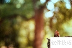 小众摄影网站推荐·2013