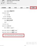 iTunes音乐库位置在哪