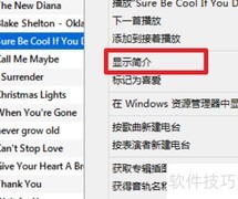 iTunes音乐库位置在哪