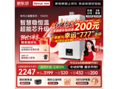 林内GD31恒温燃气热水器