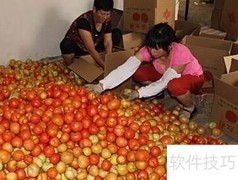 西红柿装箱技巧